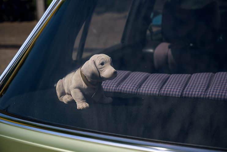 Soft toy on parcel shelf