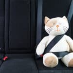 toy cat in a seat belt